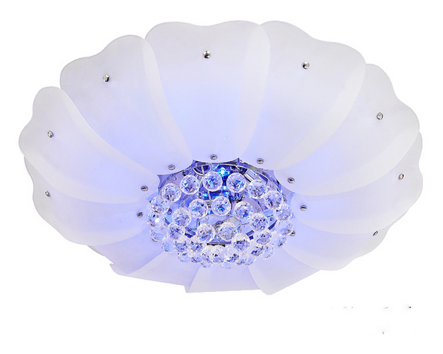 31款人氣網絡家品網裝族最愛(1)