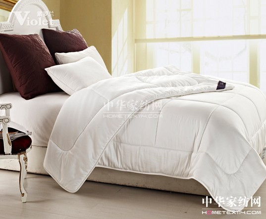 風雨征程 紫羅蘭與你相伴永遠