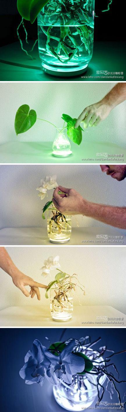 迷幻花燈