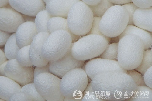 四川蠶桑絲綢產業發展規劃通過專家評審