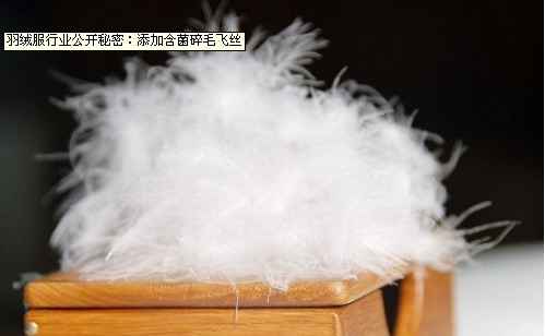 羽絨服公開秘密:添含菌碎毛飛絲