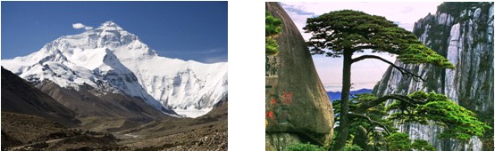 歐派家紡精確定位把握電商脈搏