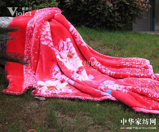 紫羅蘭給您帶來冬天里的春天