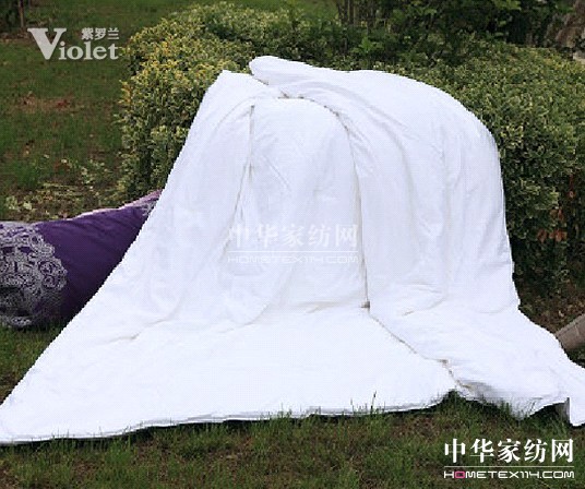 情深冬日私語紫羅蘭用“芯”聆聽