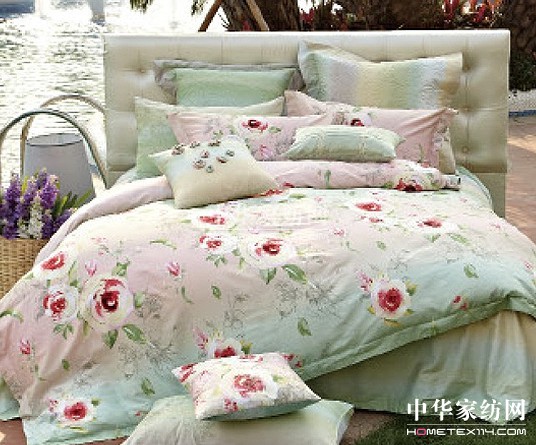 紫羅蘭帶您開啟暖春之旅