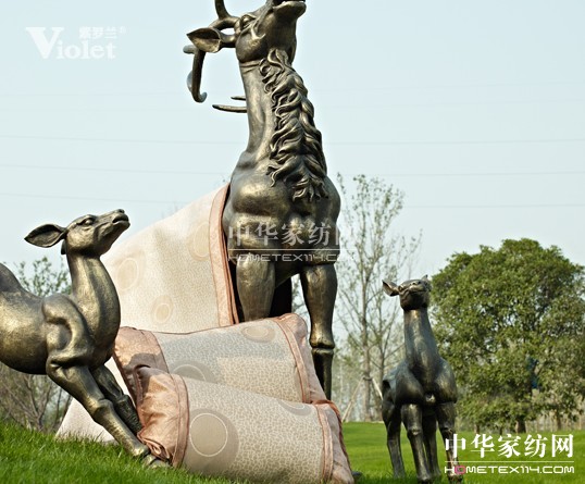 紫羅蘭與你共賞六月明媚天