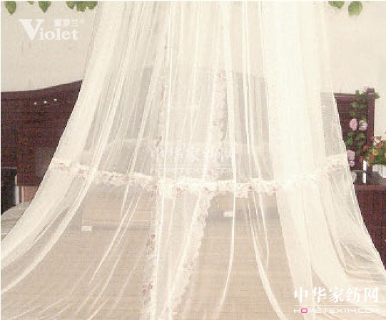 紫羅蘭:花開半夏猶見風姿清雅