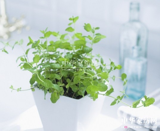 床上用品除螨季 55℃熱水來清洗