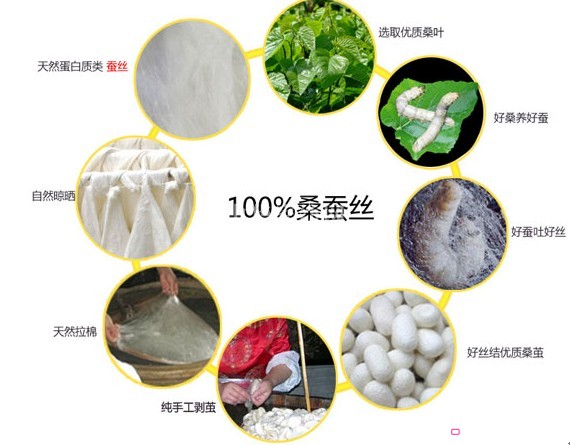 如何分辨桑蠶絲與榨蠶絲