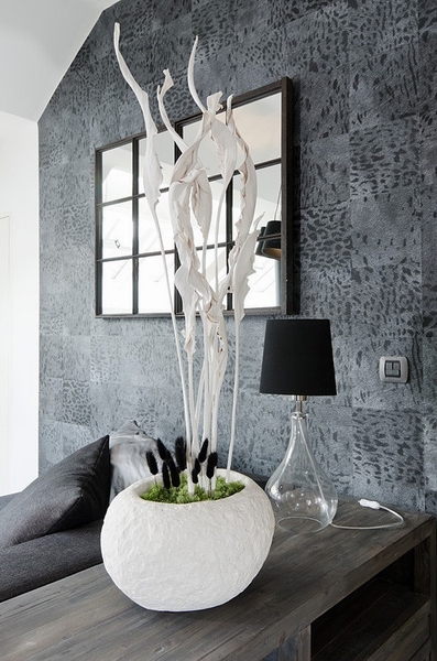 ������ڰ��w��