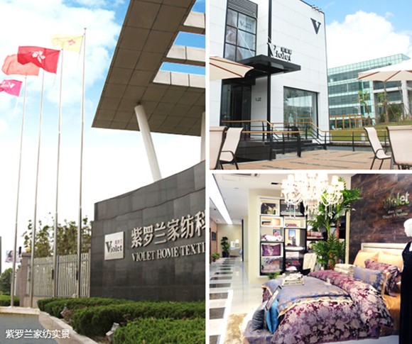 十八年榮譽:紫羅蘭突破創(chuàng)新 鑄就傳奇