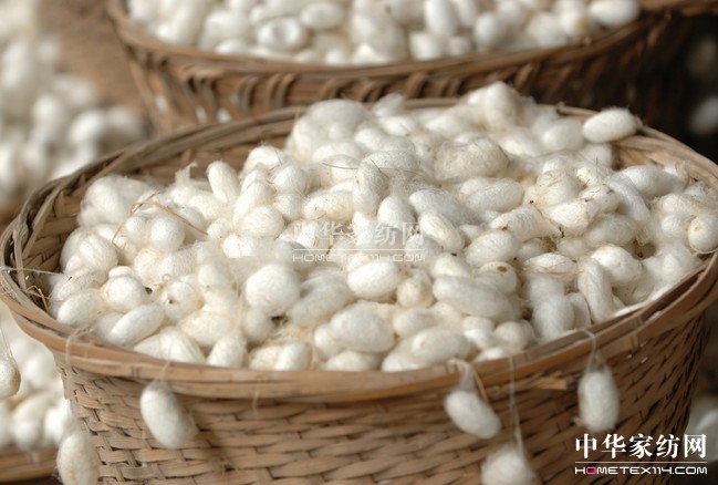 “中國繭絲之都”花落四川涼山