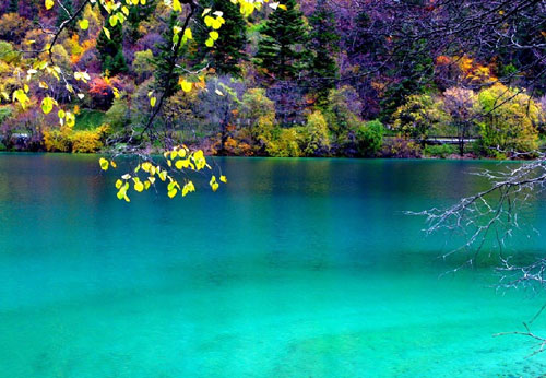 中國家紡協(xié)會赴四川彭州調(diào)研