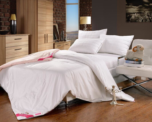 圣富萊:我如陽光用芯溫暖