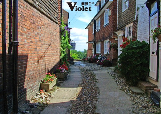 紫羅蘭法蘭絨系列:來自歐洲的保暖體驗