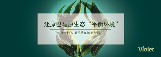 凈入睡眠,賴上Violet生機(jī)家紡