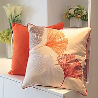 ��ɫף�����|