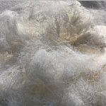 上海熱轉(zhuǎn)移印花推薦盈爾供上海優(yōu)質(zhì)女裝